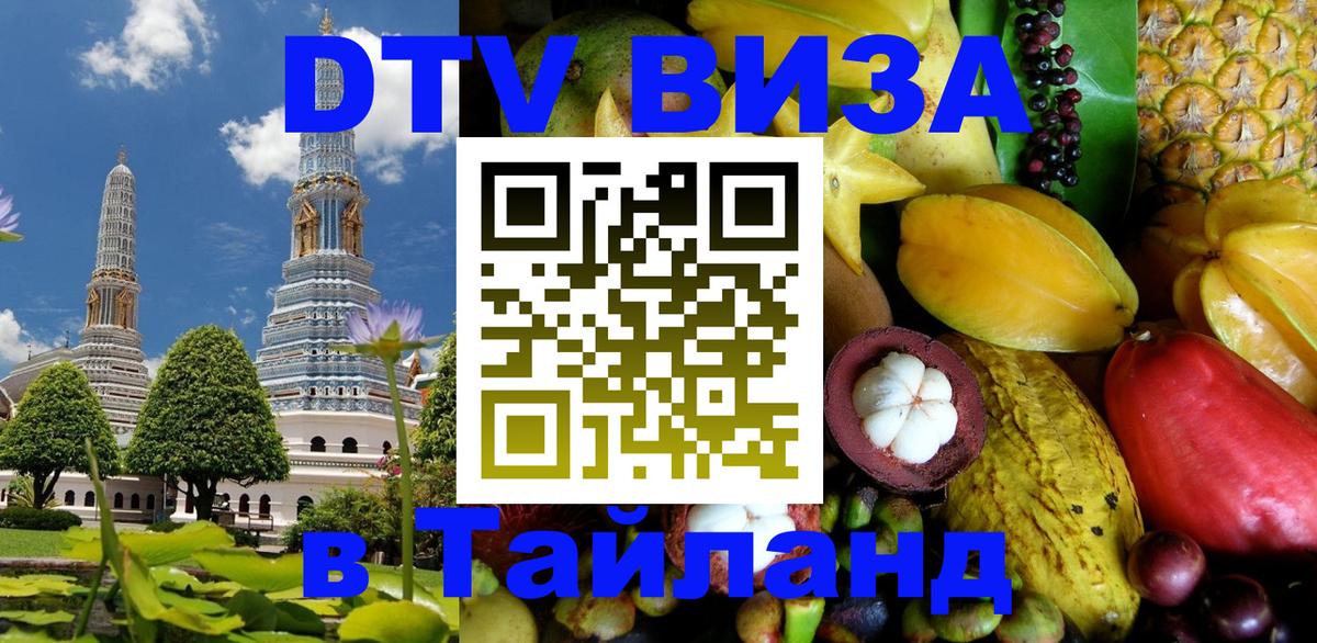 Сколько стоит DTV виза — актуальные цены, оформление даже без документов - Исламабад  20.11.2025 